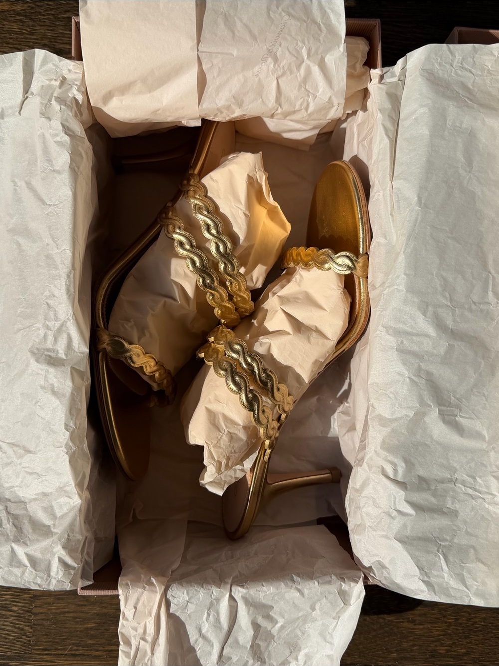 Gianvito Rossi Gold Braided Strap Mid-Heels